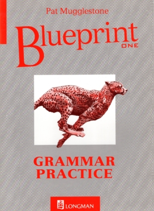 Blueprint 1 Grammar Practice ABBS