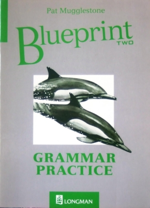 Blueprint 2 Grammar Practice ABBS