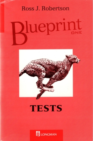 Blueprint 1 Tests