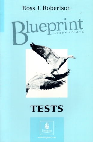 Blueprint Intermediate  Tests