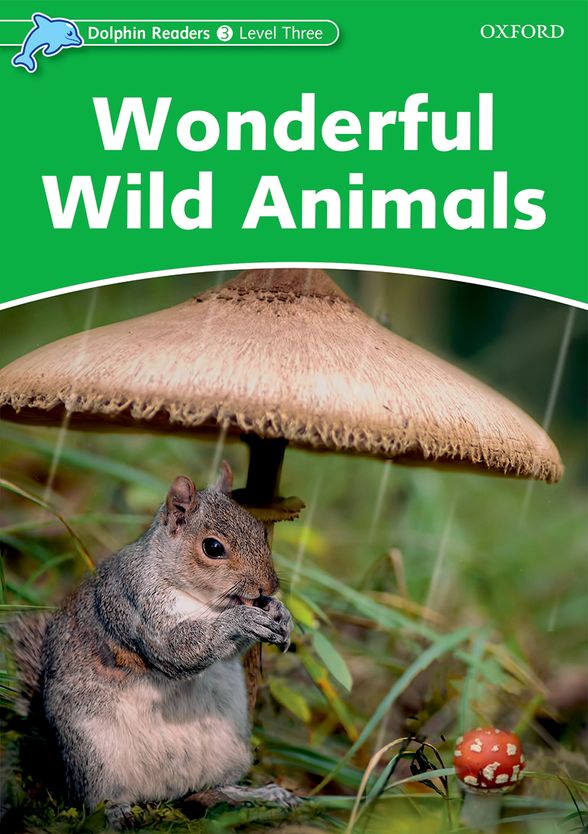 DOLPHINS 3 WONDERFUL WILD ANIMALS