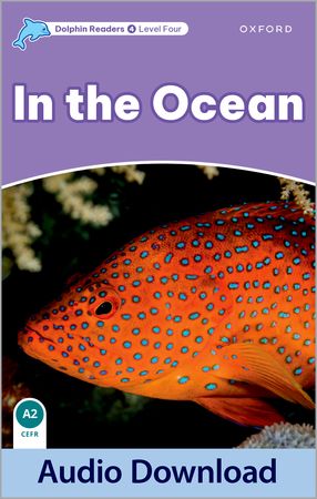 DOLPHINS 4 IN OCEAN MP3 BP